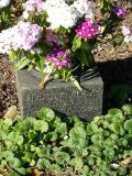 image of grave number 219558